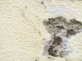 Jak naprawić dziurę w elewacji - uniknij kosztownych błędów w remoncie